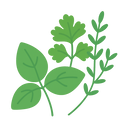 Feuilles aromatiques